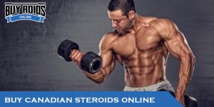 buy canadian steroids online