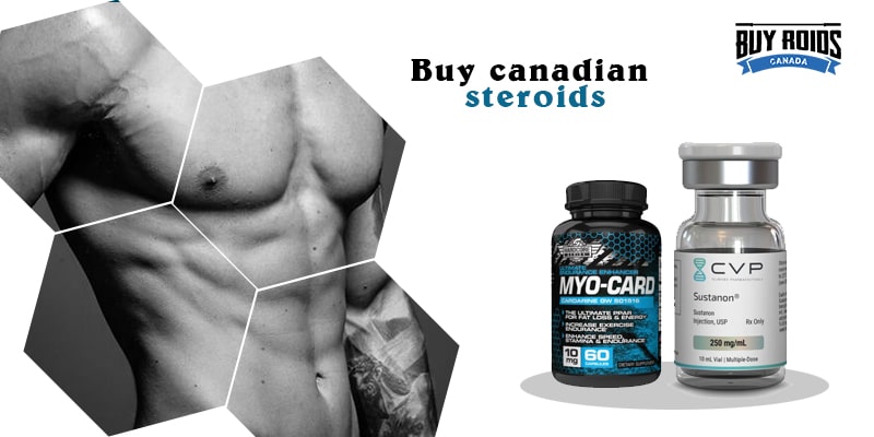 buy canadian steroids online