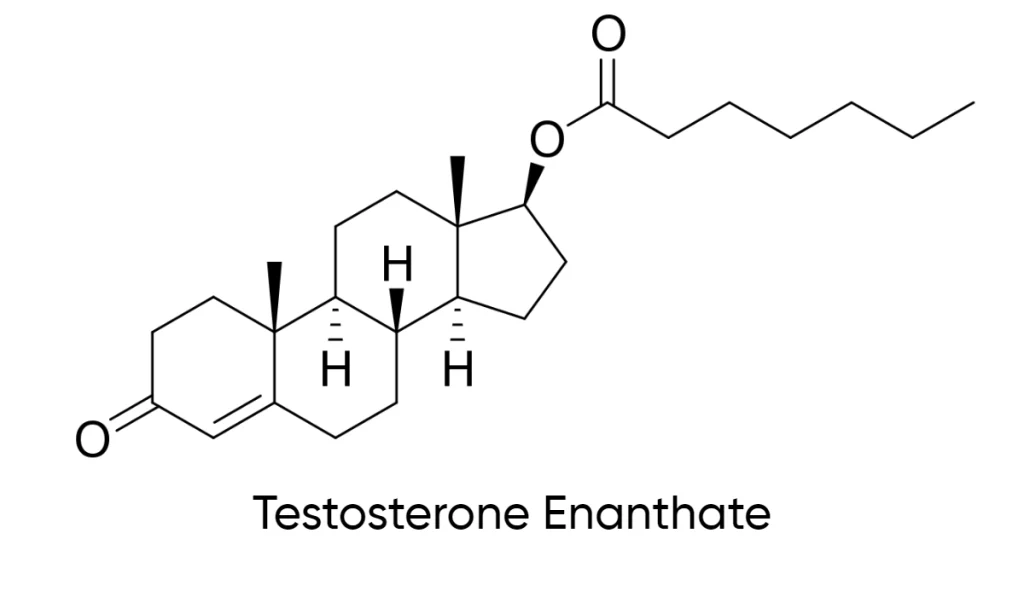 Testosterone Enanthate