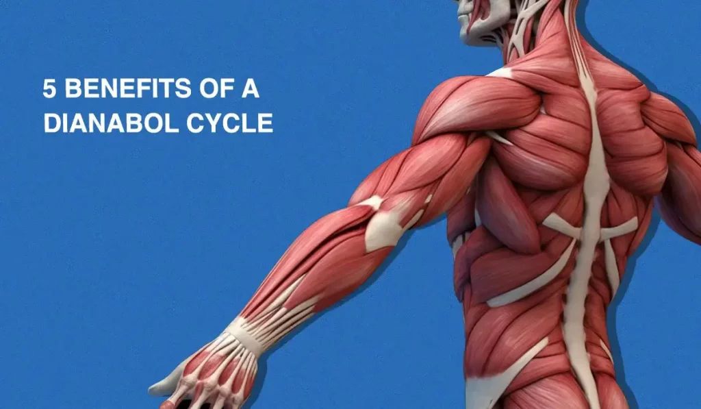 5 Benefits of a Dianabol Cycle