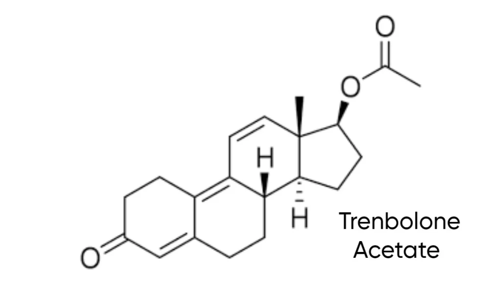 What is Trenbolone Acetate