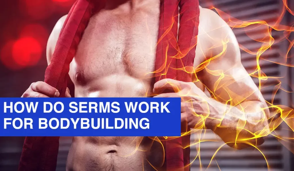 How Do SERMs Work for Bodybuilding