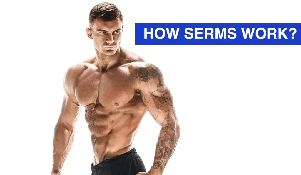 What Are SERMs?